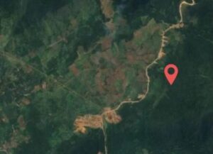 Peta (gogle maps) Titik Lokasi Lahan yang disewakan oleh Pemkab Luwu Timur