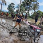 Dorong peningkatan ekonomi dan kemandirian pangan, Bupati Andi Rahim Tanam Padi Perdana di Desa Pombakka 5cc19739-a5be-4133-a813-48b933560789
