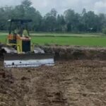 Pemkab Luwu Utara Cetak 2.960 Hektare Sawah Baru hingga Juni 2026 luwu-utara-1781332114169_169